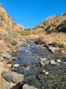 A stream at village Negiyana