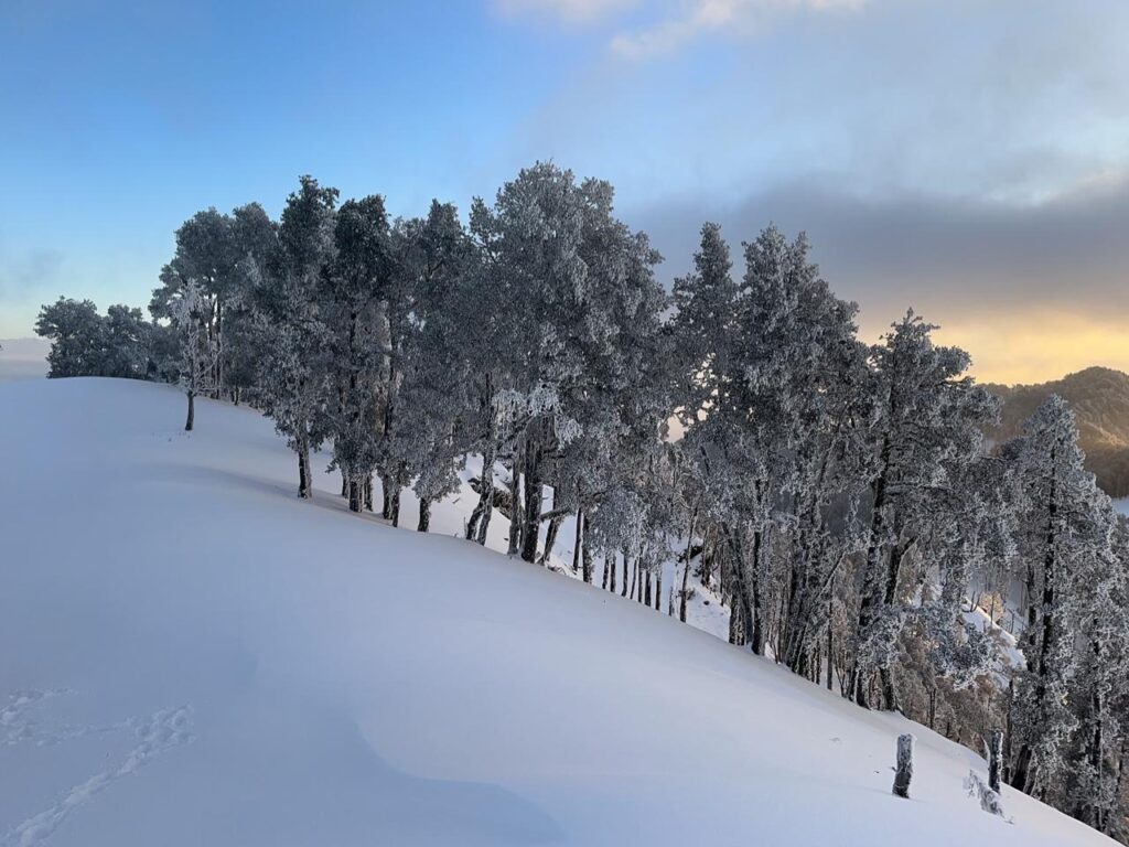 a snow-covered mountain — quiet, majestic, and wrapped in nature's softest silence.